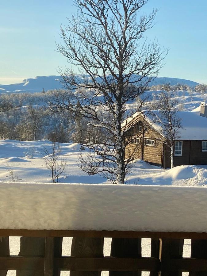 Storemyr By Norgesbooking - Cabin With Amazing View Myro ภายนอก รูปภาพ